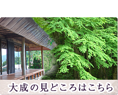 大成の見どころはこちら
