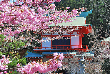 大成神宮の由来