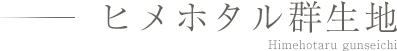 ヒメホタル群生地 Himehotaru gunseichi