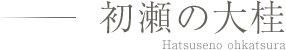 初瀬の大桂 Hatsuseno ohkatsura